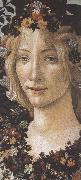 Sandro Botticelli, Primavera (mk36)